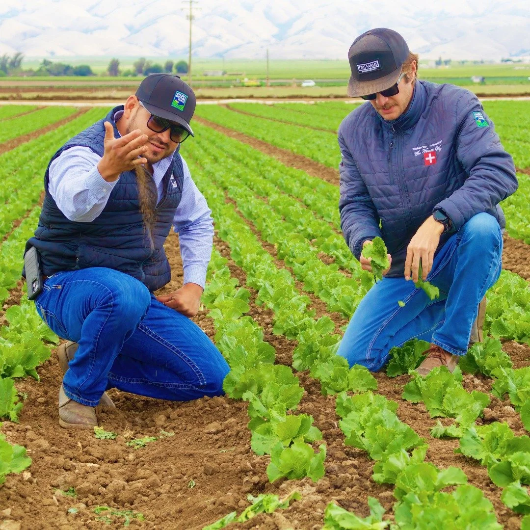 Healthy crops start with healthy practices! 🌱 Our Integrated Pest Management program helps us farm smarter so we can protect soil, water, and pollinators while supporting our communities. #SustainableAgriculture #HealthyCrops #EcoFriendlyFarming