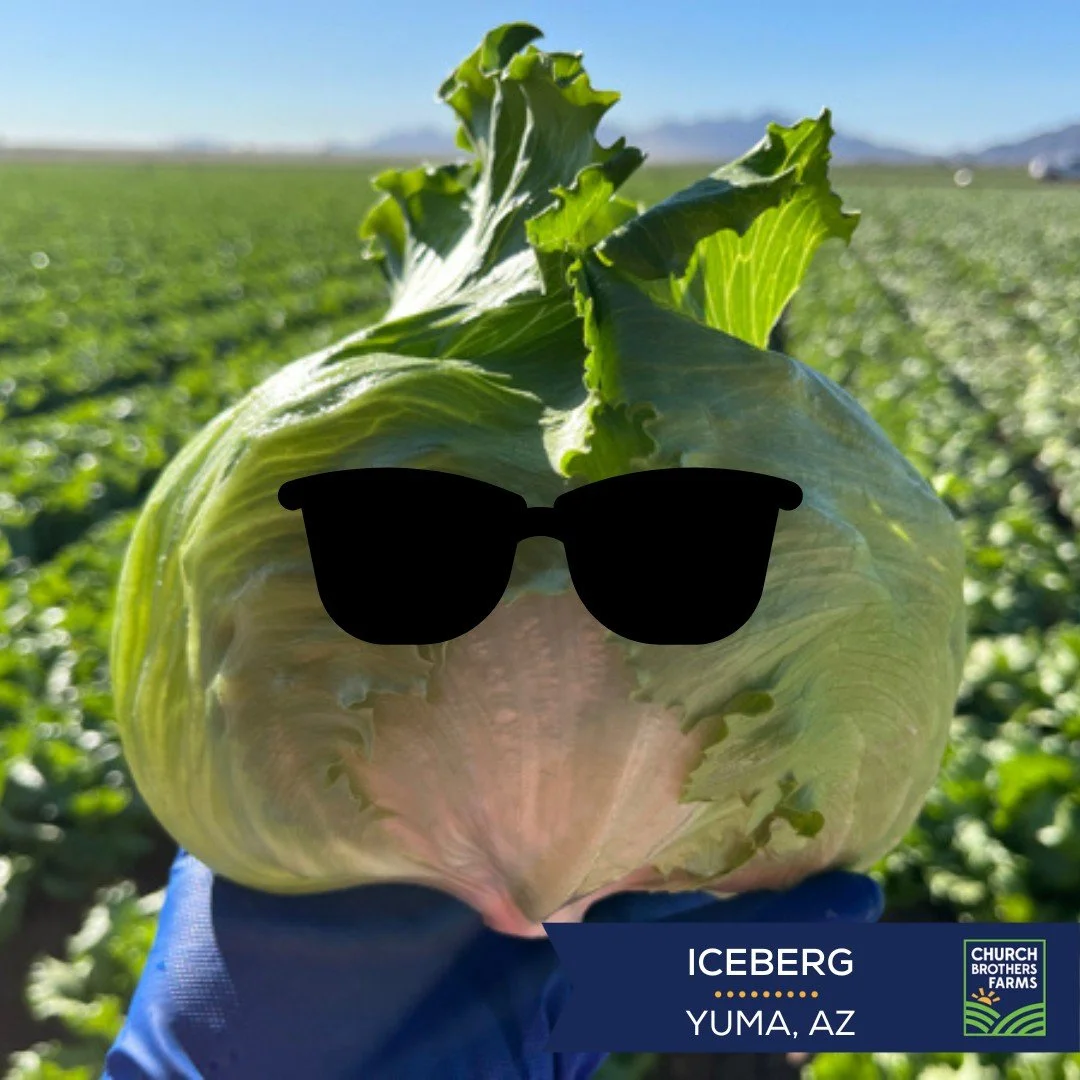 Who said lettuce couldn&rsquo;t have a little attitude? 🥬😎✂️ #FieldPhotoFriday  #ChurchBrothersFarms