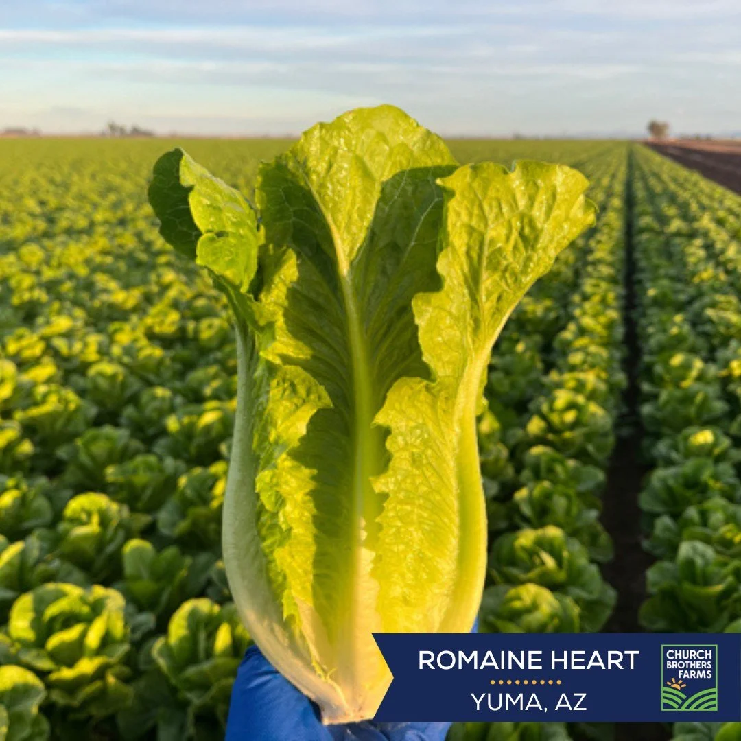 Some of the first picks from the desert 🌱#ChurchBrothersFarms