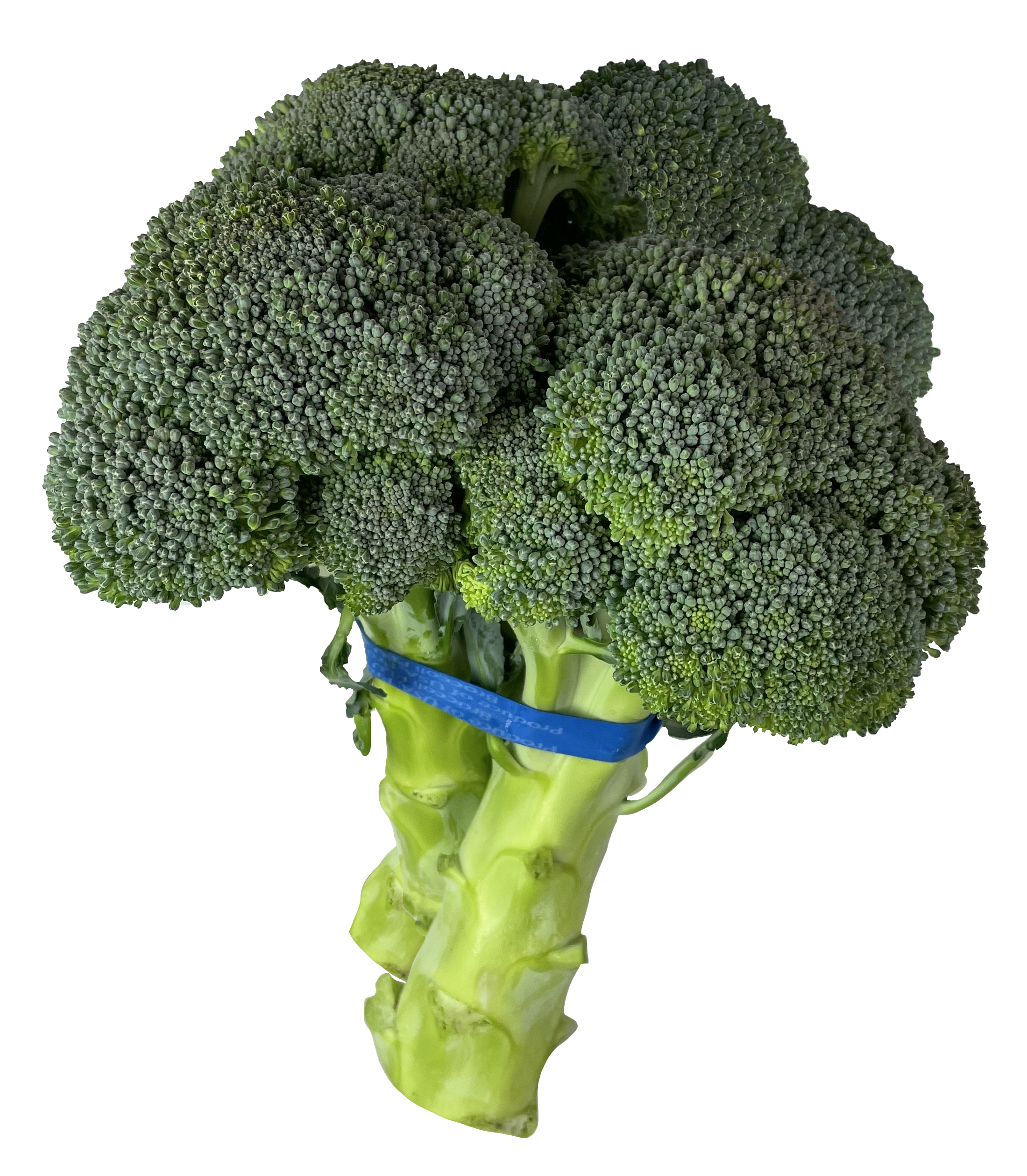 Church Brothers Farms Broccoli