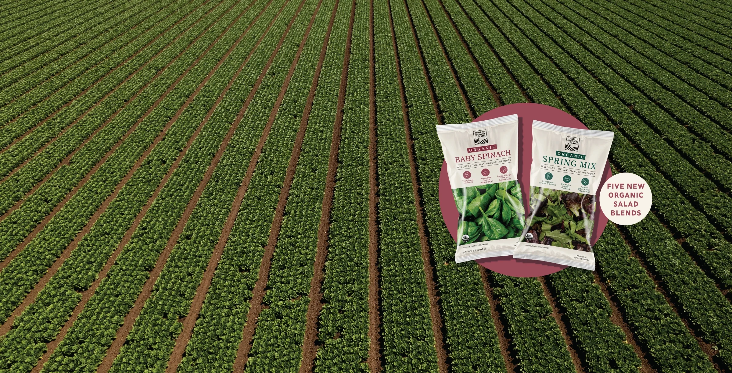 Field with Organic Packaging