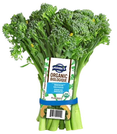 Mann's 18 Bunch Organic Broccolini®