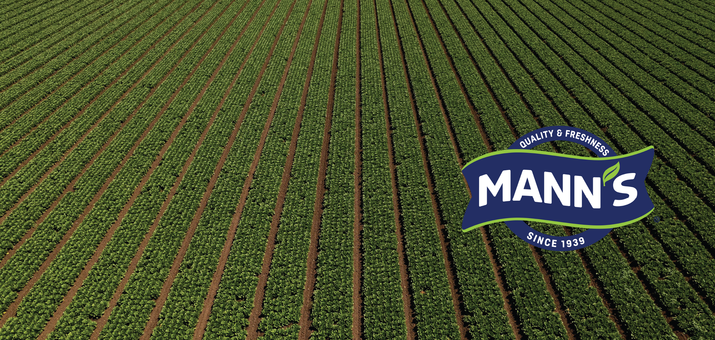 Welcome Mann's to the Church Brothers Farms Family