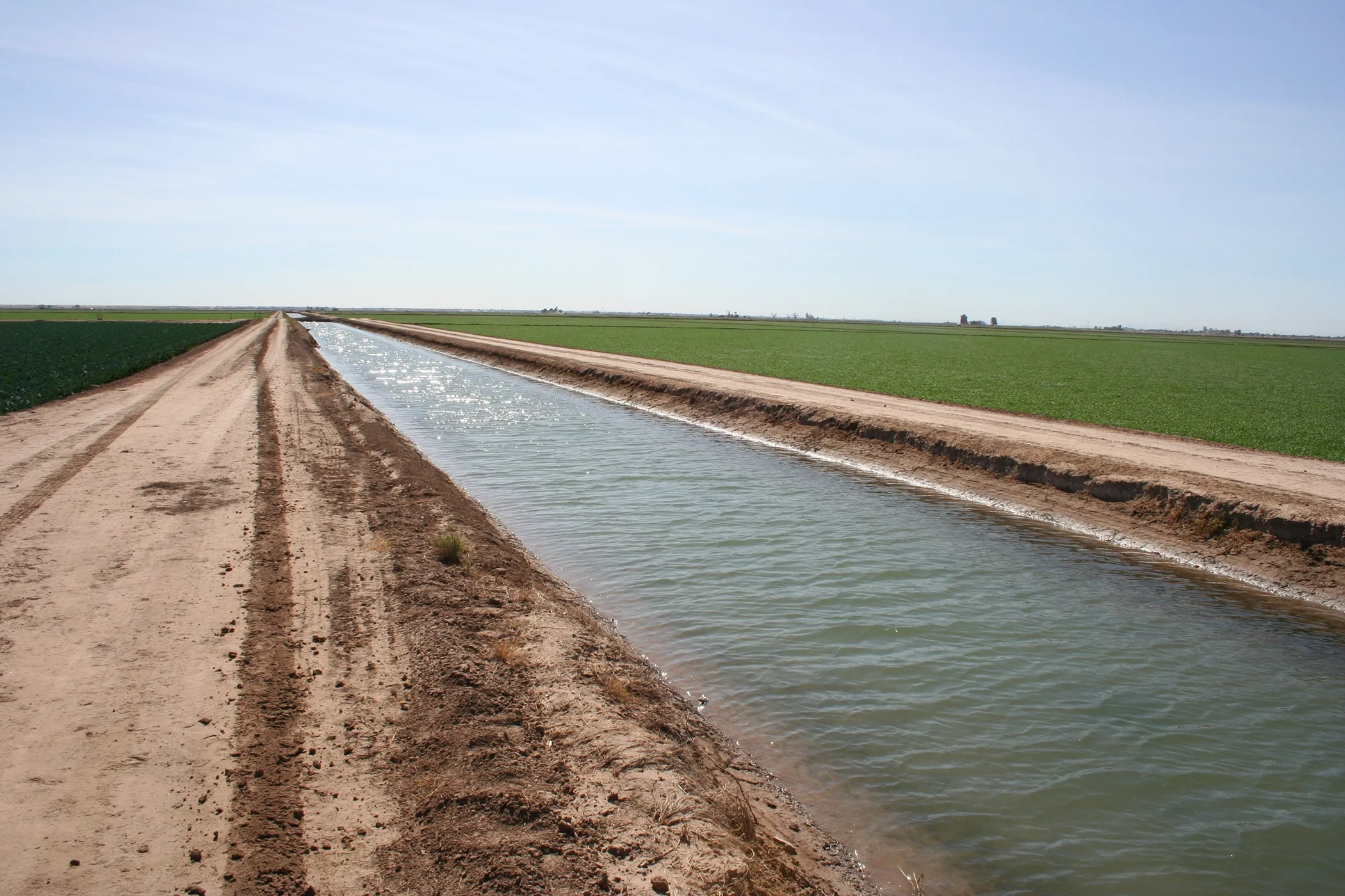 Water flowing through farmland.