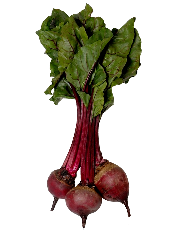 Bunch of Beets