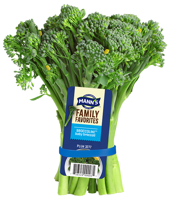 Mann's Packing Broccolini Bunch
