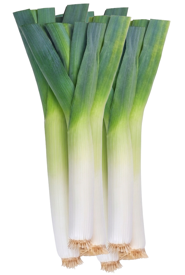 Bunch of Leeks