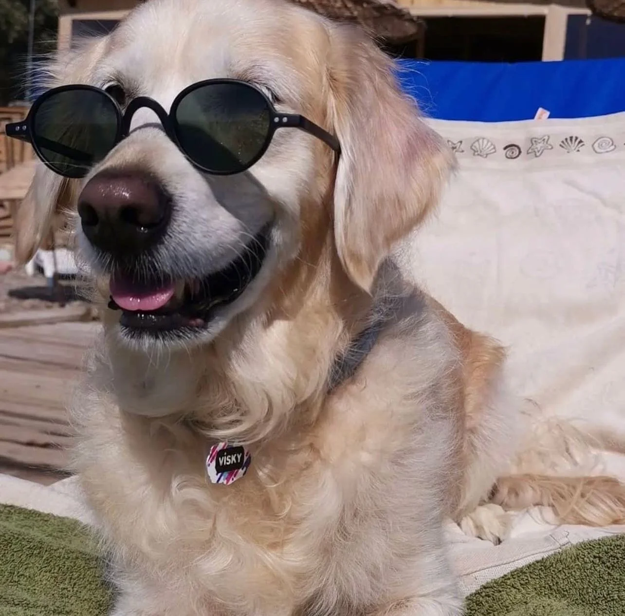 Waiting for warm sunny days to come ☀️😎