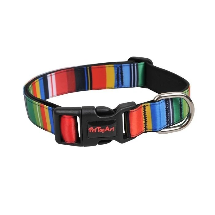 Hundehalsband – Mehrfarbig gestreift