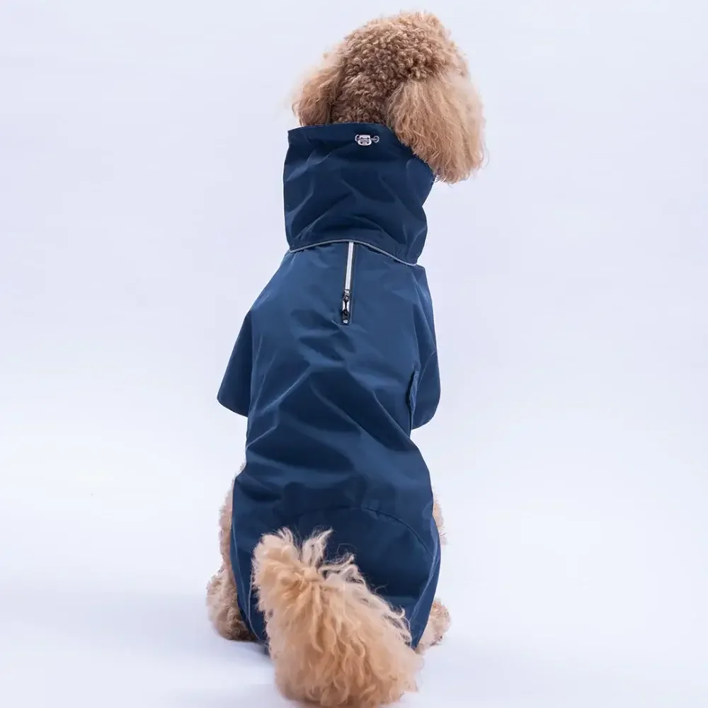 Dunkelblauer Hunde Regenmantel mit Fleecefutter an einem Pudel im Studio