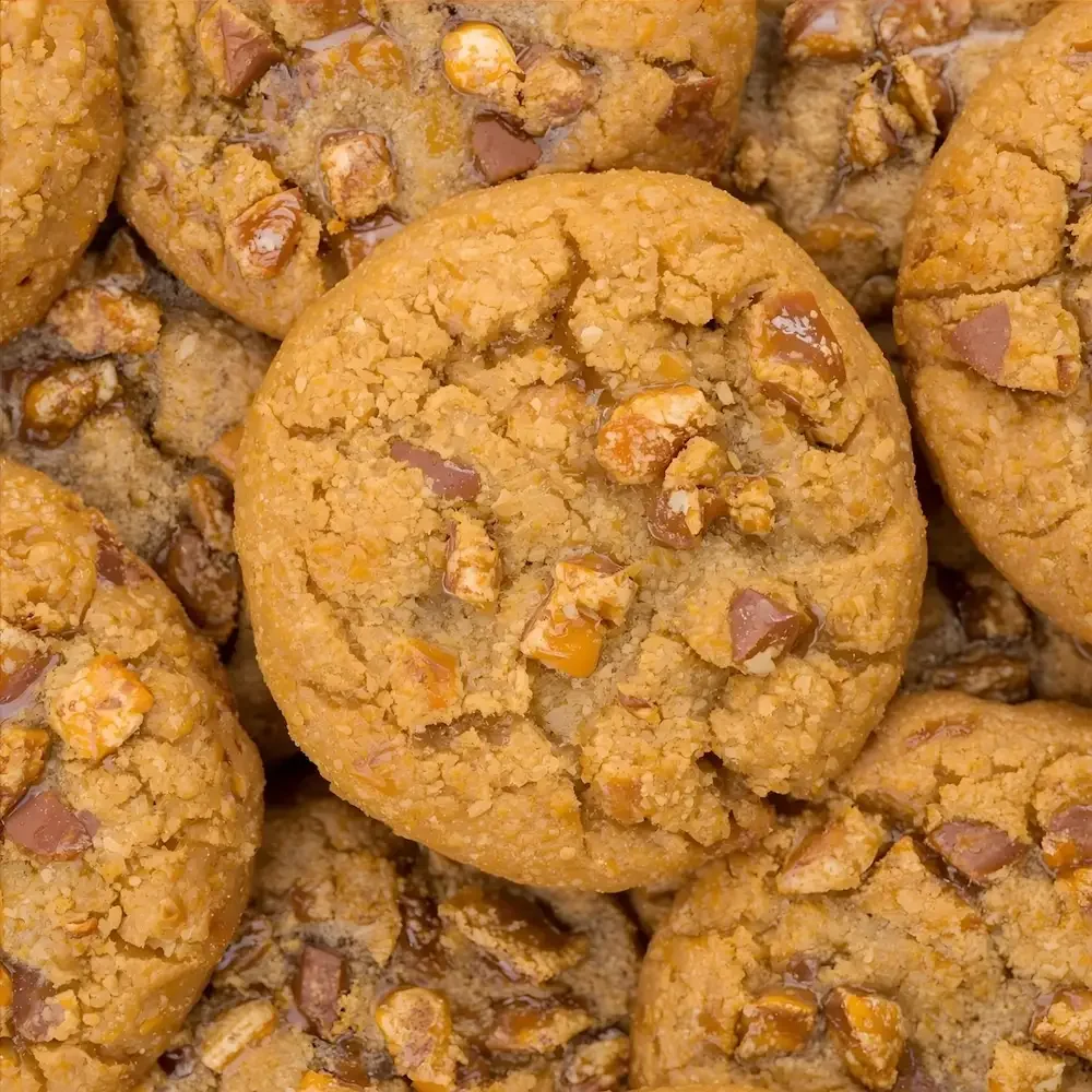 Herbstliche Erdnuss-Kürbis-Hafer-Kekse – der perfekte Snack, den du ganz ohne schlechtes Gewissen mit deinem Hund teilen kannst. Rezept von Pet Tag Art.