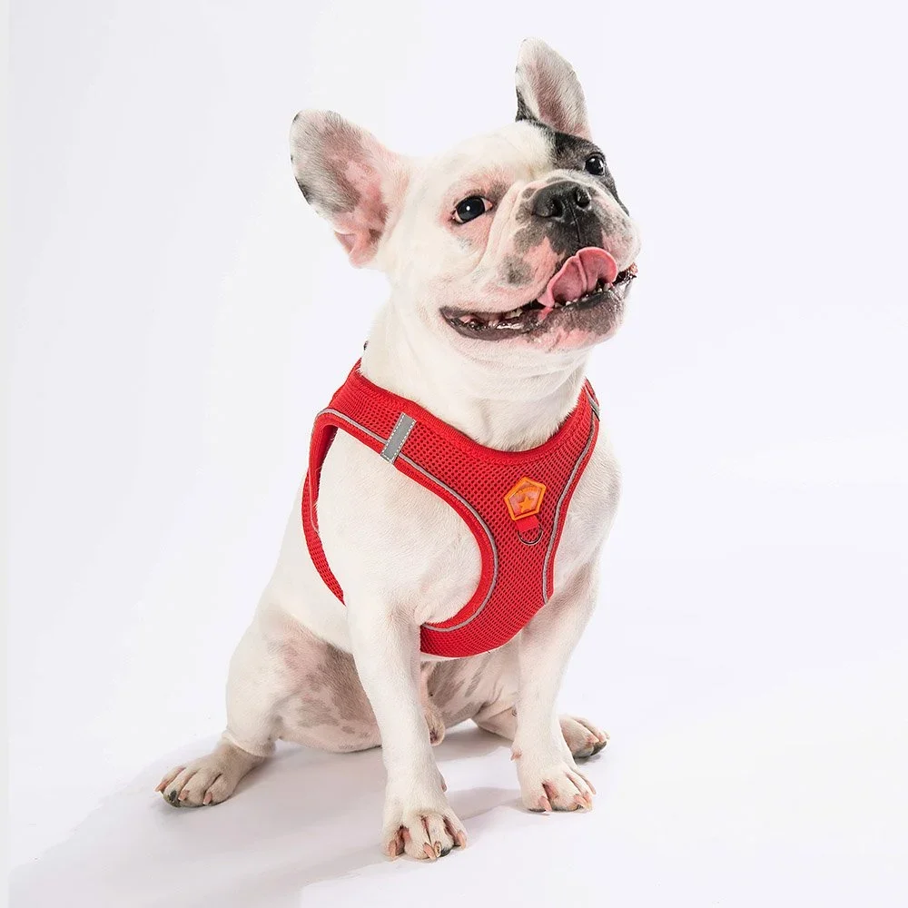 AirMesh Step-In Hundegeschirr Rot mit Logo-Detail