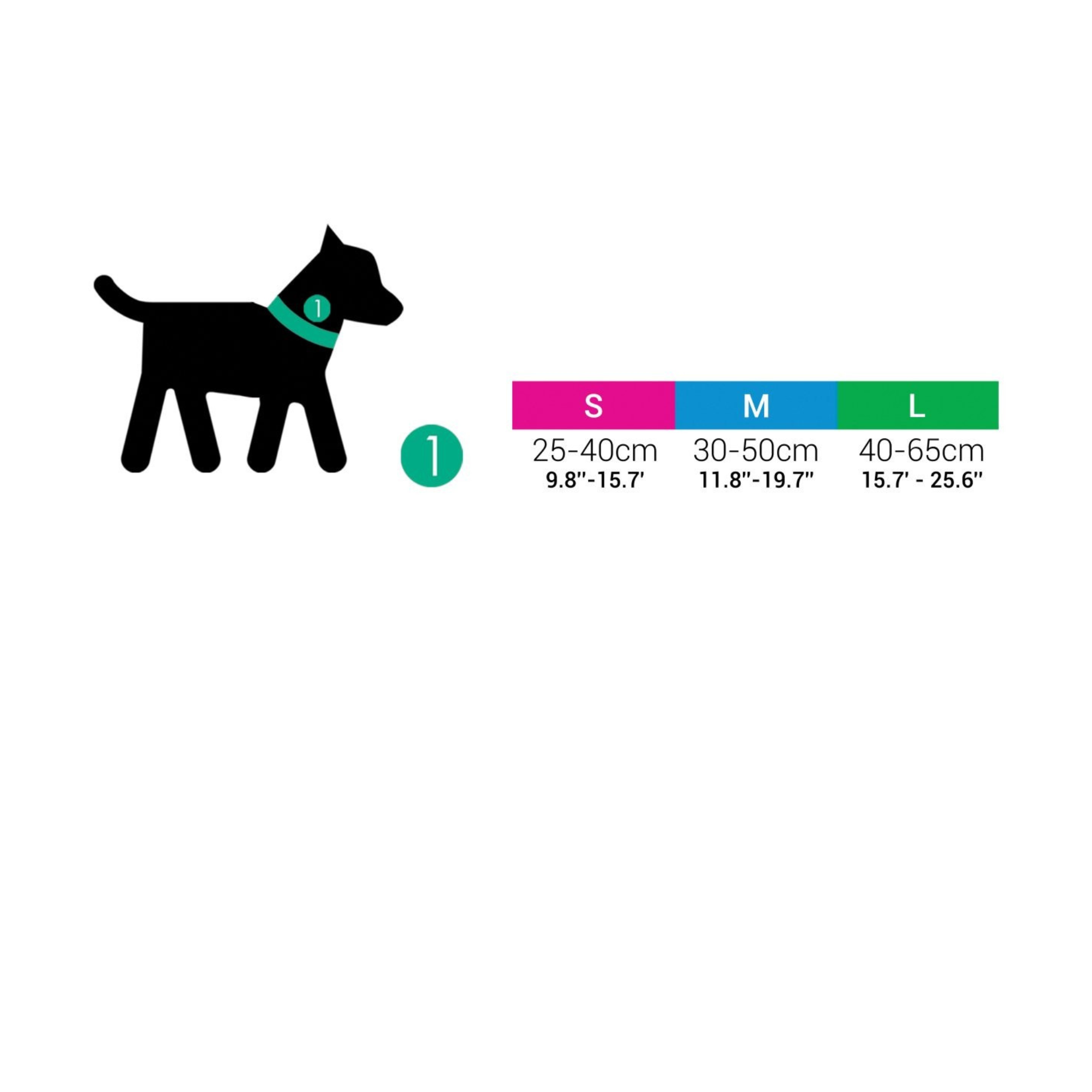 Größentabelle für Hundehalsband – verstellbare Größen S (25–40 cm), M (30–50 cm), L (40–65 cm) mit Brustumfang in cm und inch (Copy)
