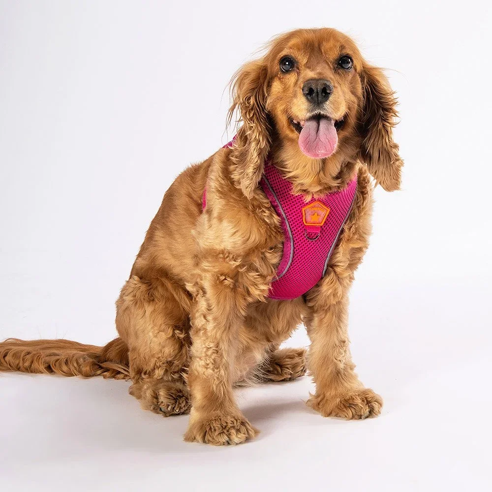 AirMesh Step-In Hundegeschirr Fuchsia