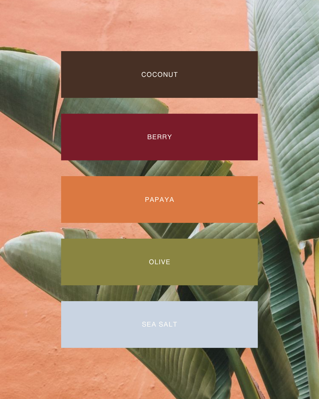 brand-color-palette-design.png
