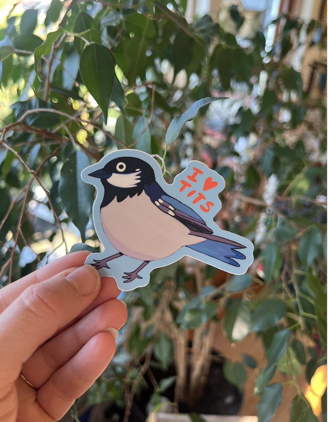 I Heart Tits Sticker