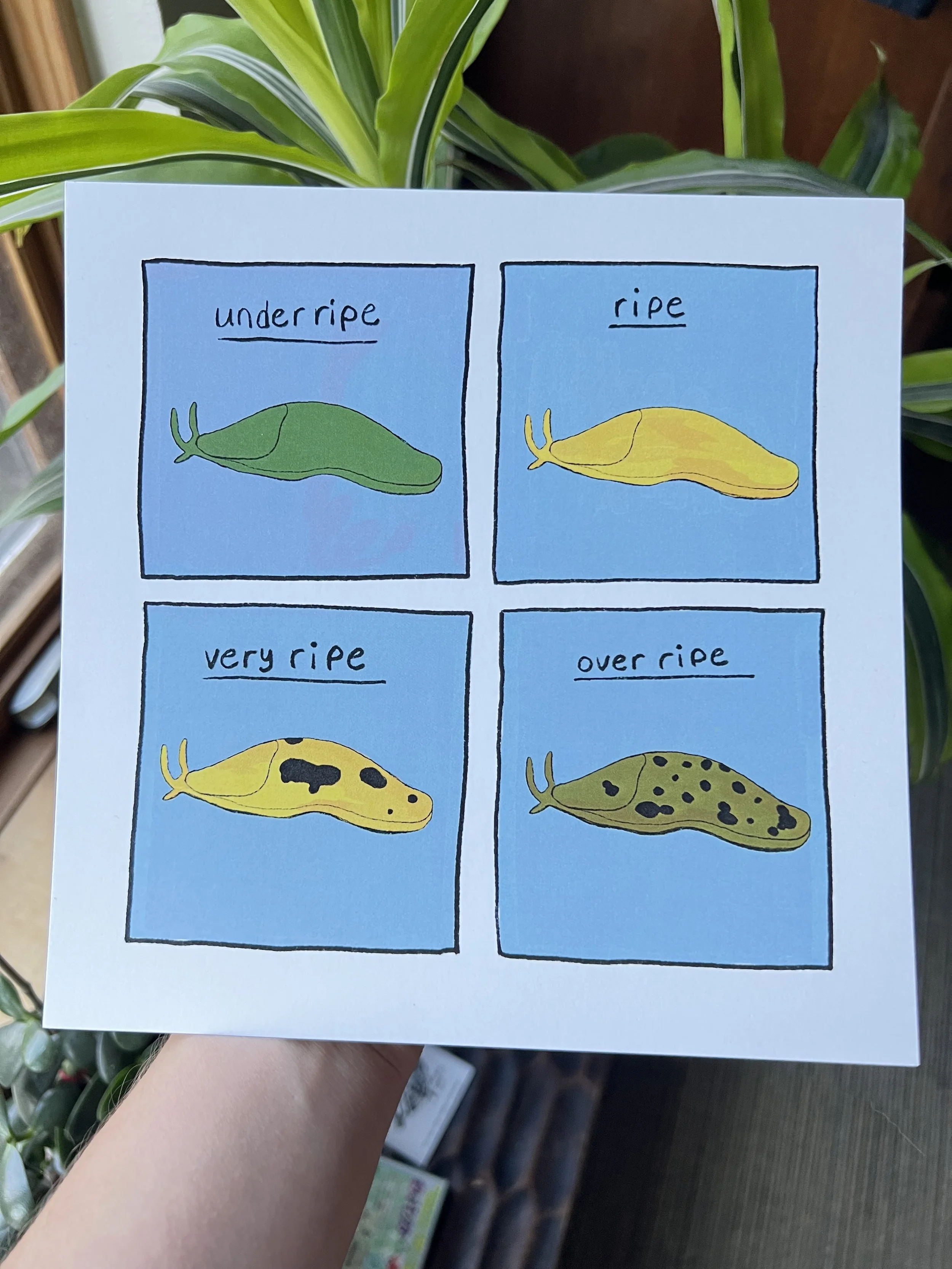 Banana Slug