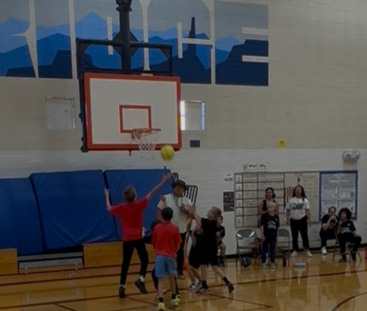 BestPlay Sports Basketball