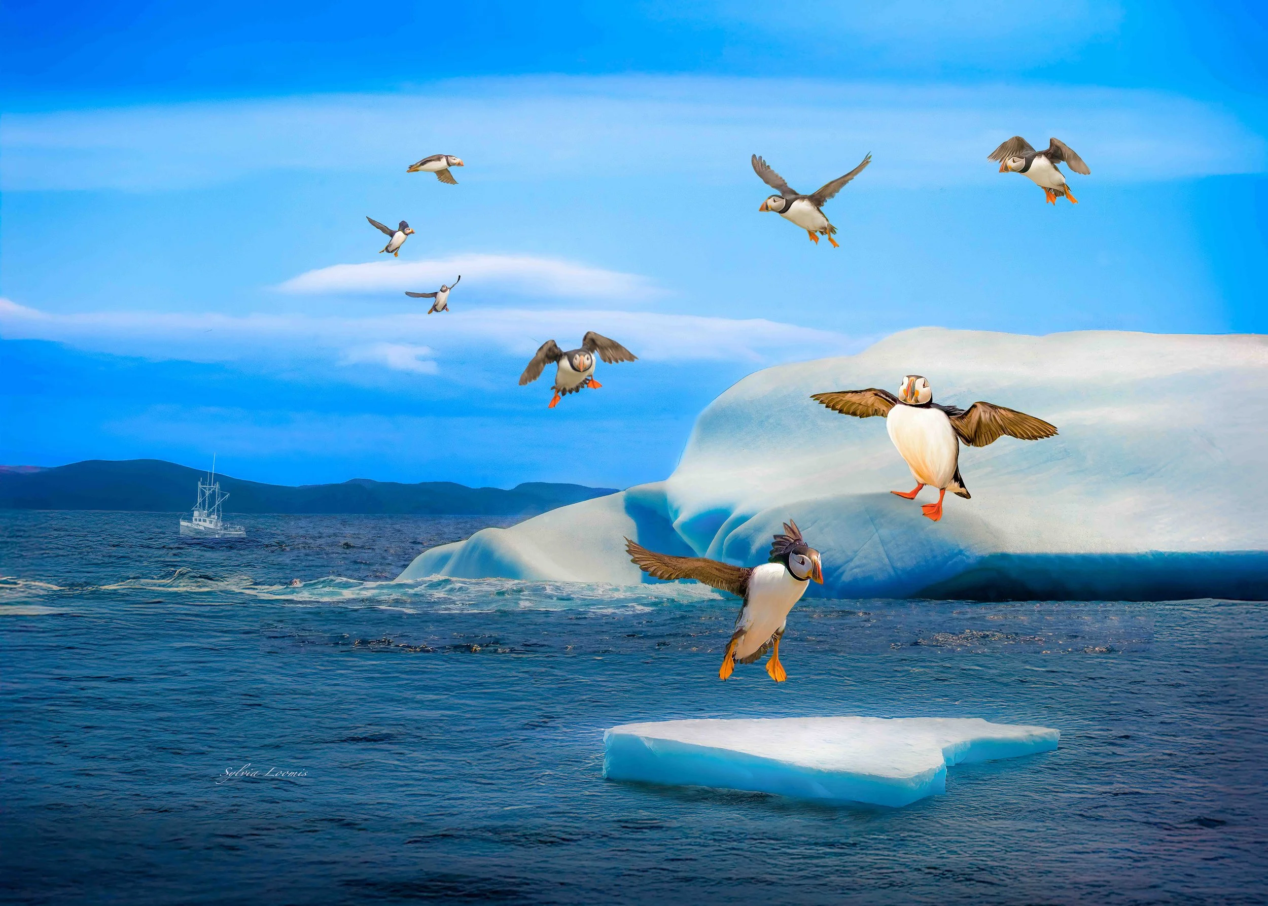 _DSC5672 & 5971 14 x 11--Edit.jpg