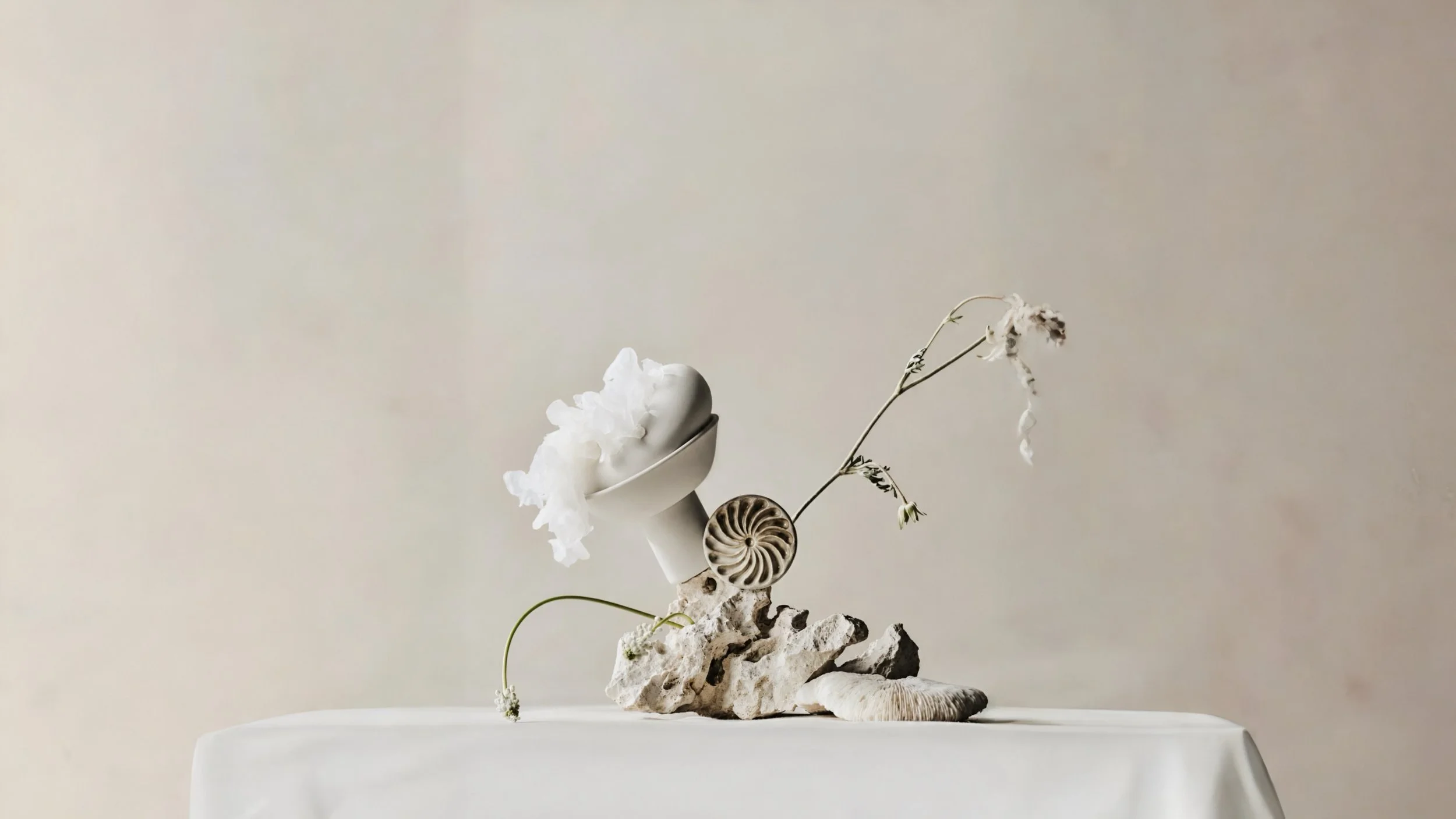 Minimalist sculpture arrangement with white and beige elements, including shells, a dried flower, and textured stones against a plain beige background.
