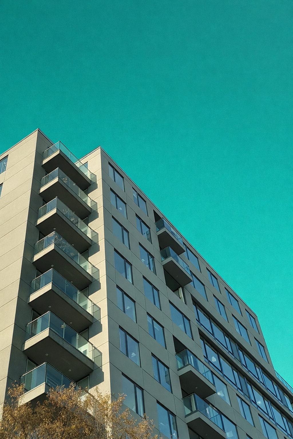 ChatGPT Image Dec 20, 2025 at 07_07_33 PM.png