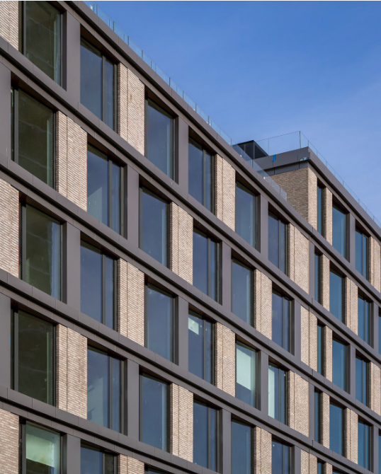 Screenshot 2025-05-20 at 7.25.56 PM.png