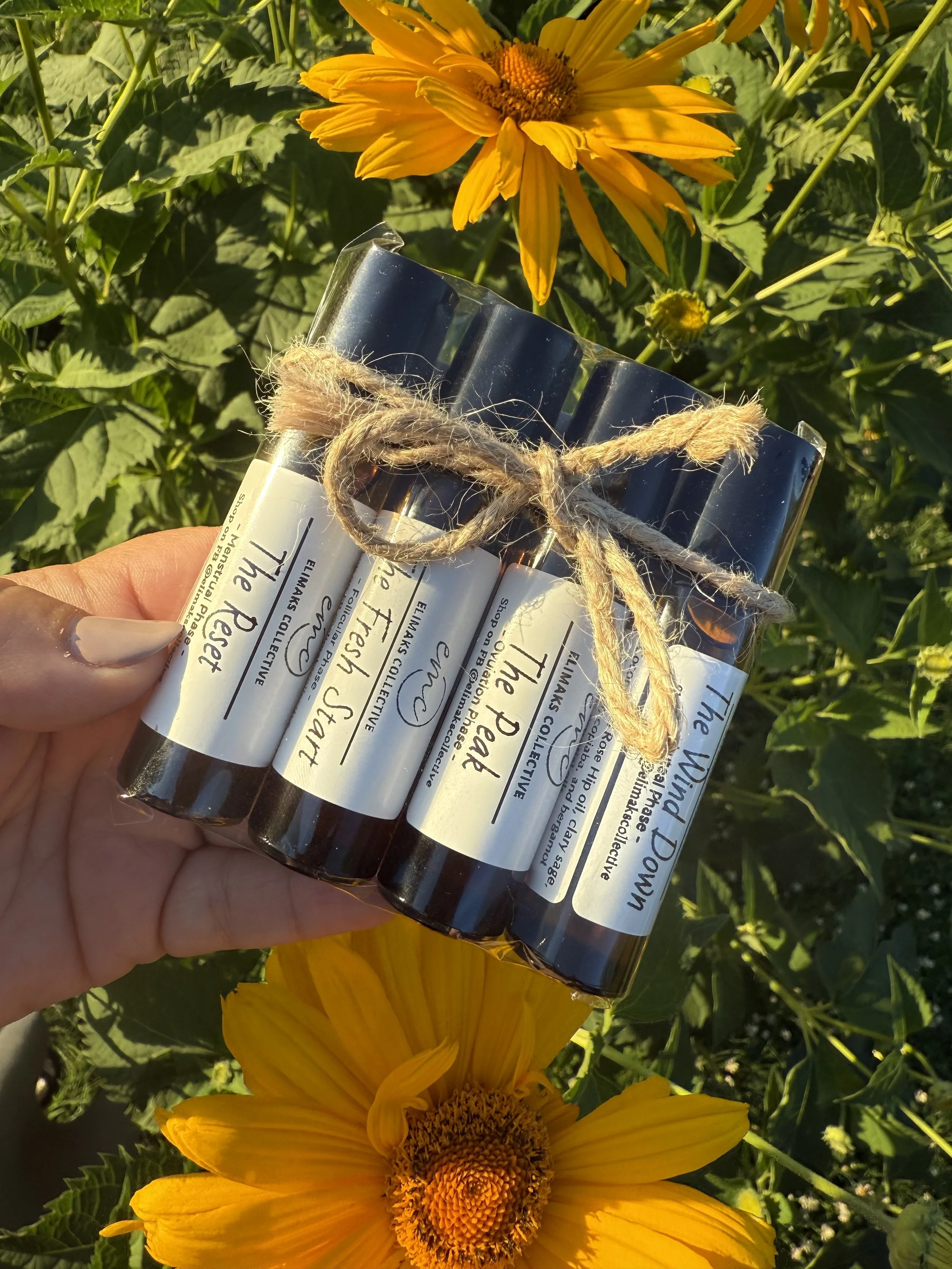 Cycle Support Collection