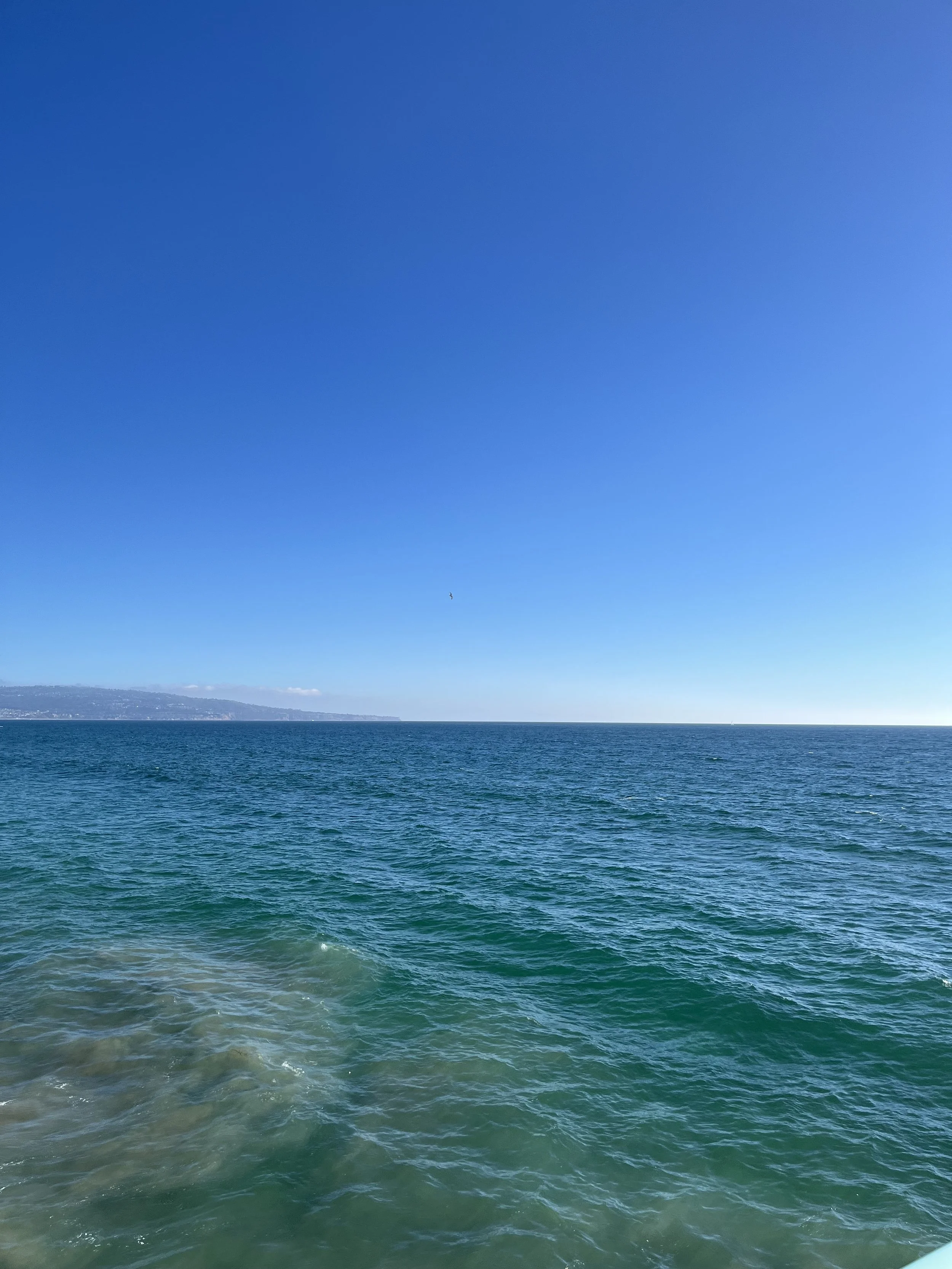Ocean water with a distant shoreline and a clear blue sky.
