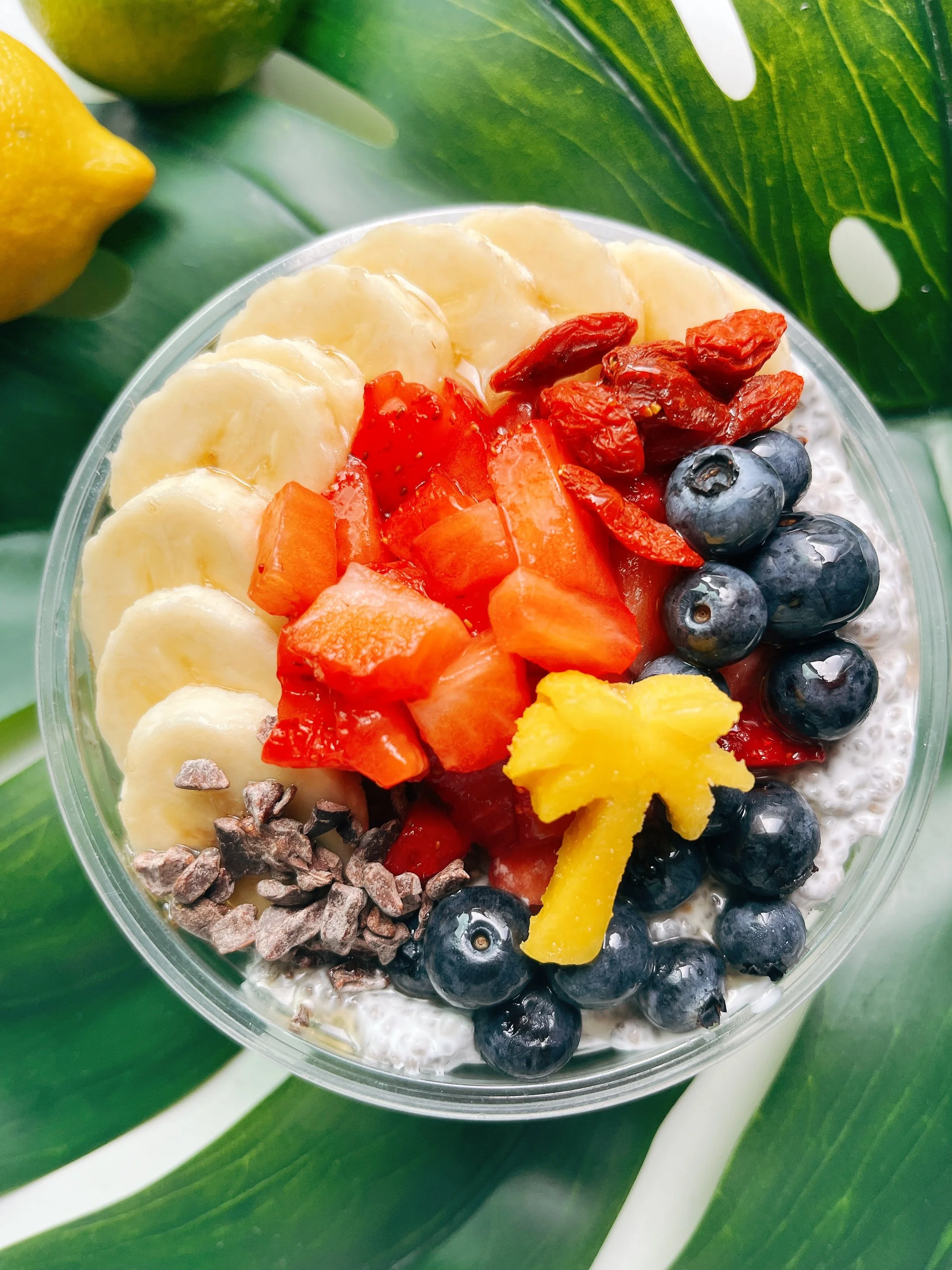A clear bowl of chia seed pudding topped with sliced bananas, strawberries, blueberries, chopped mango, goji berries, and cacao nibs. The bowl is placed on a green leaf background.