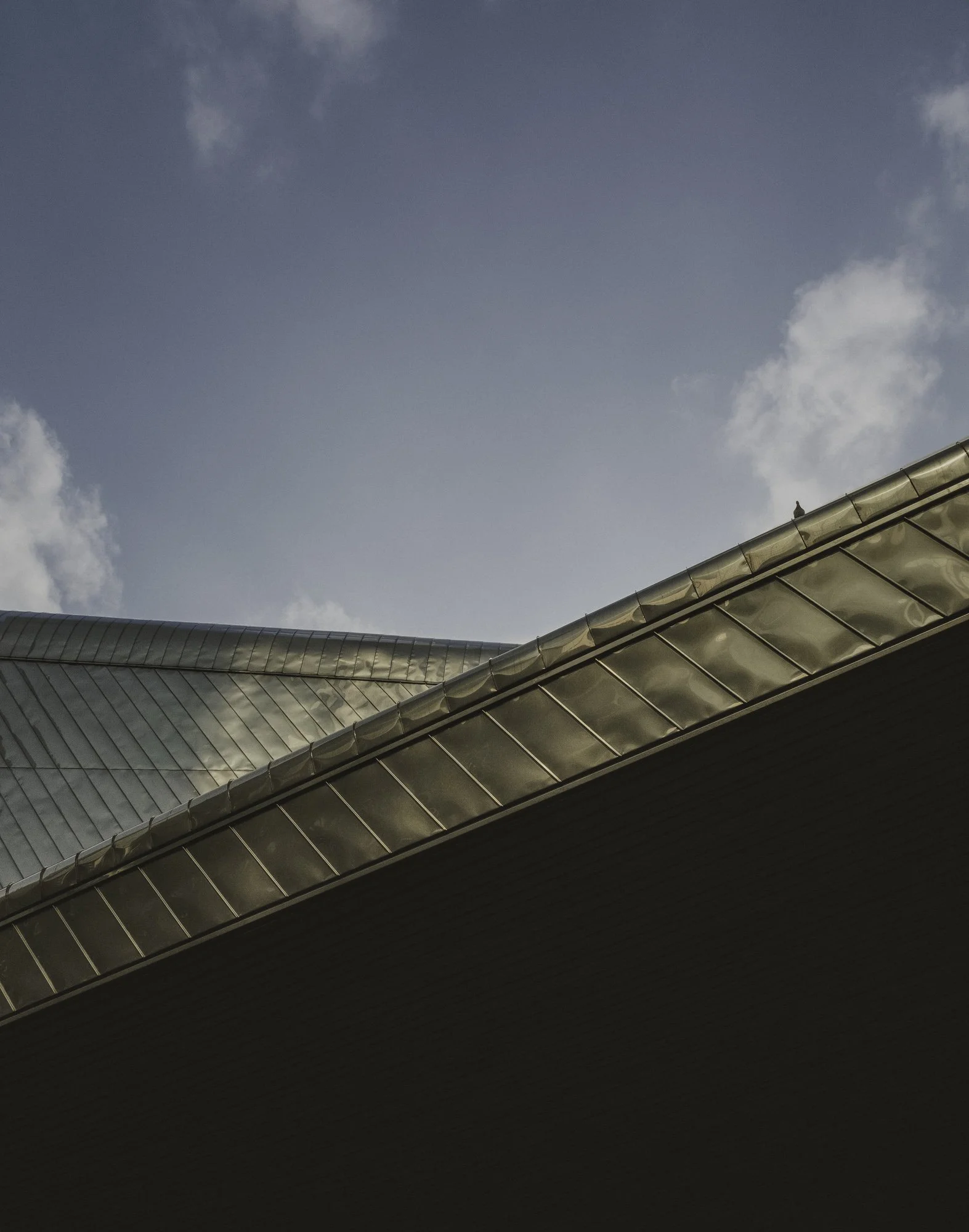 _DSF7877-Edit.jpg