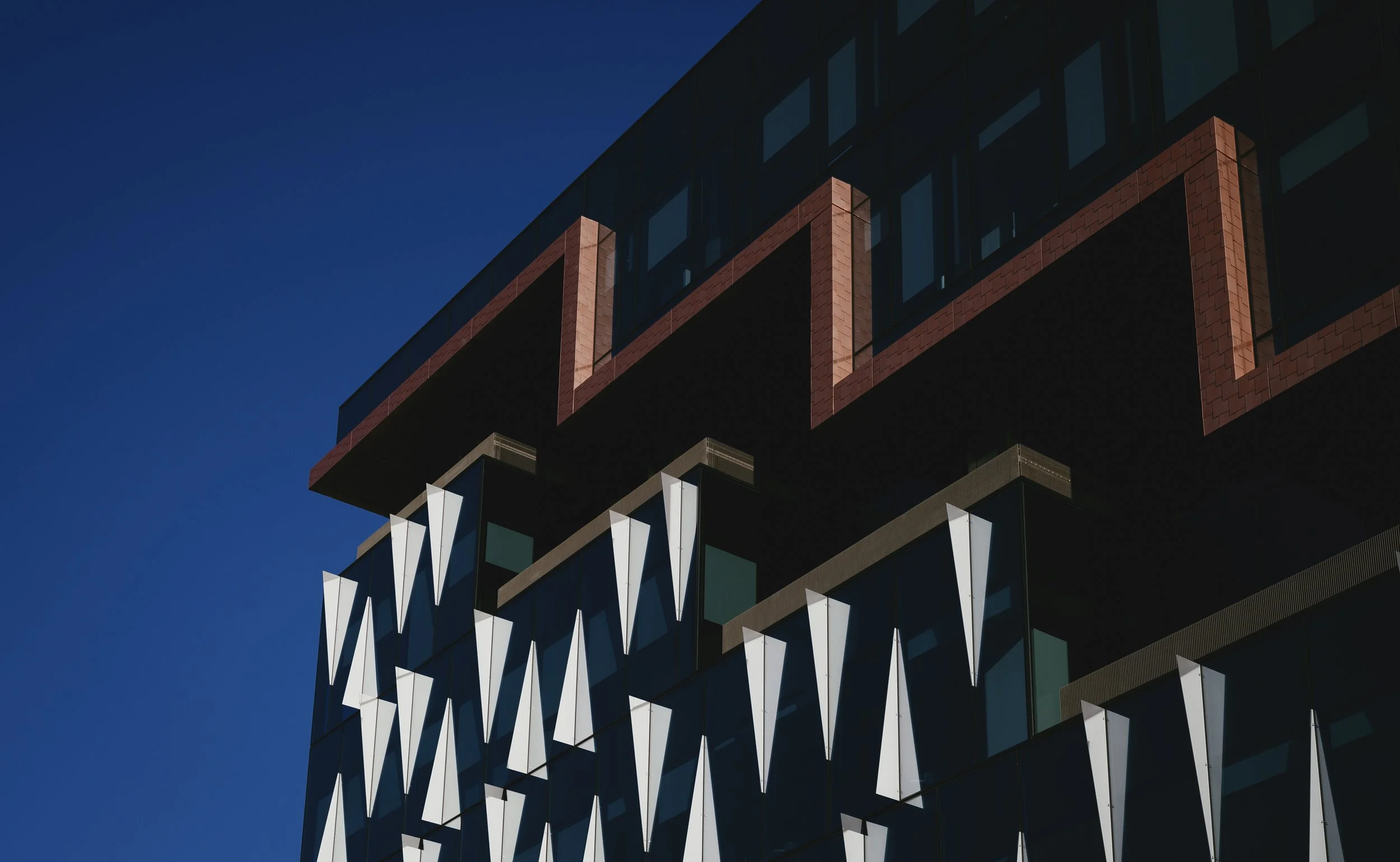 untitled-2395.jpg