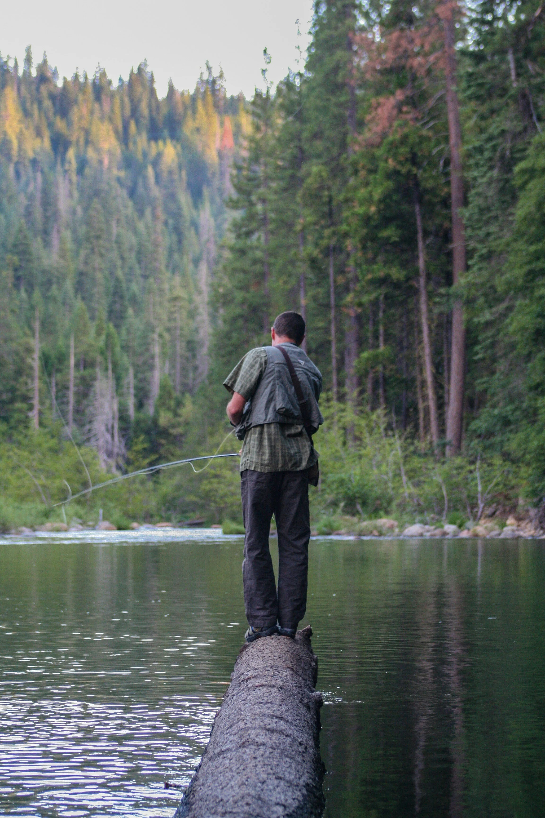 A man fishing on a fallen tree trunk in a river, surrounded by forested mountains.