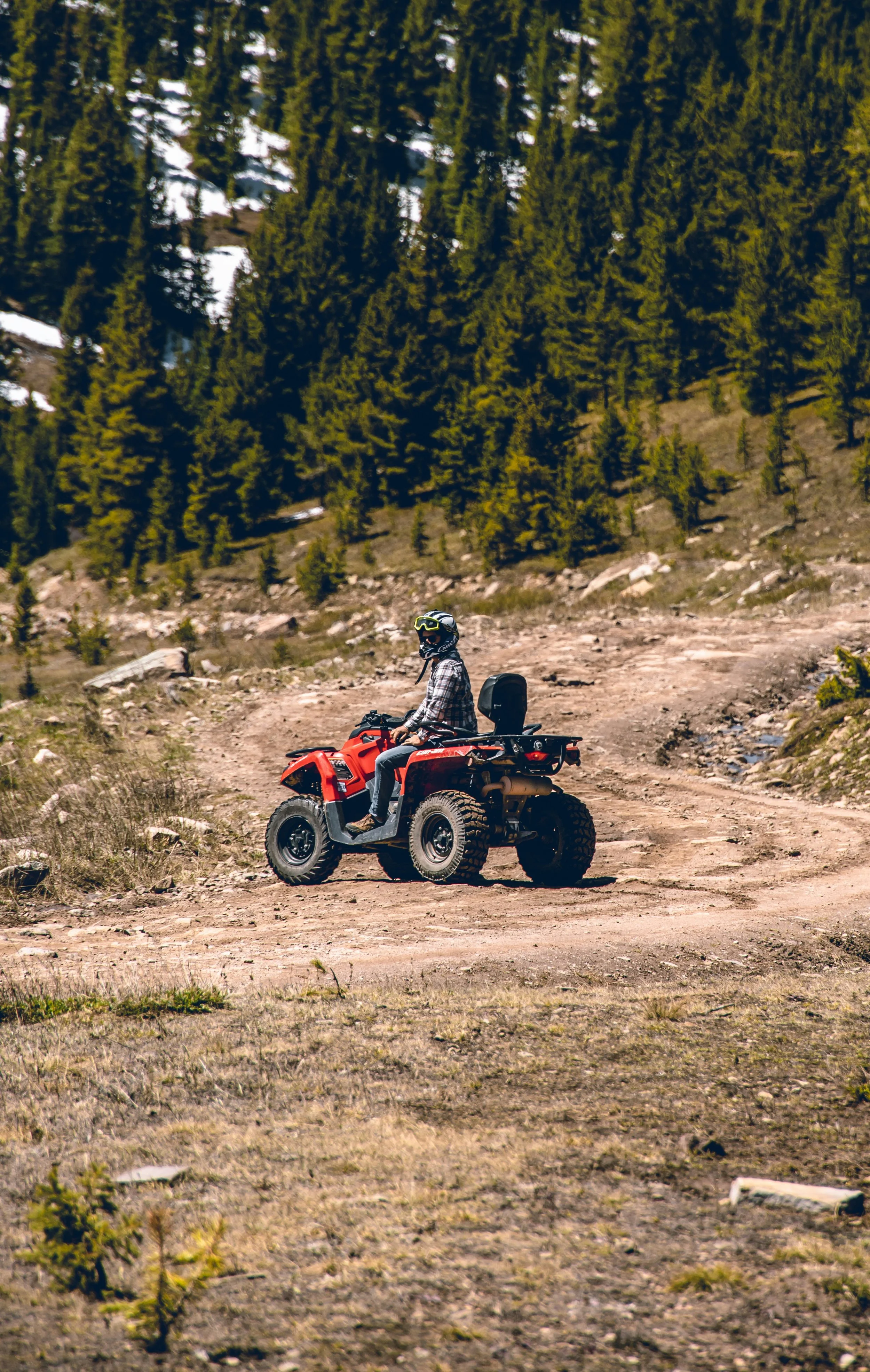 A person riding an all-terrain vehicle on a dirt trail in a mountainous area with tall pine trees in the background.