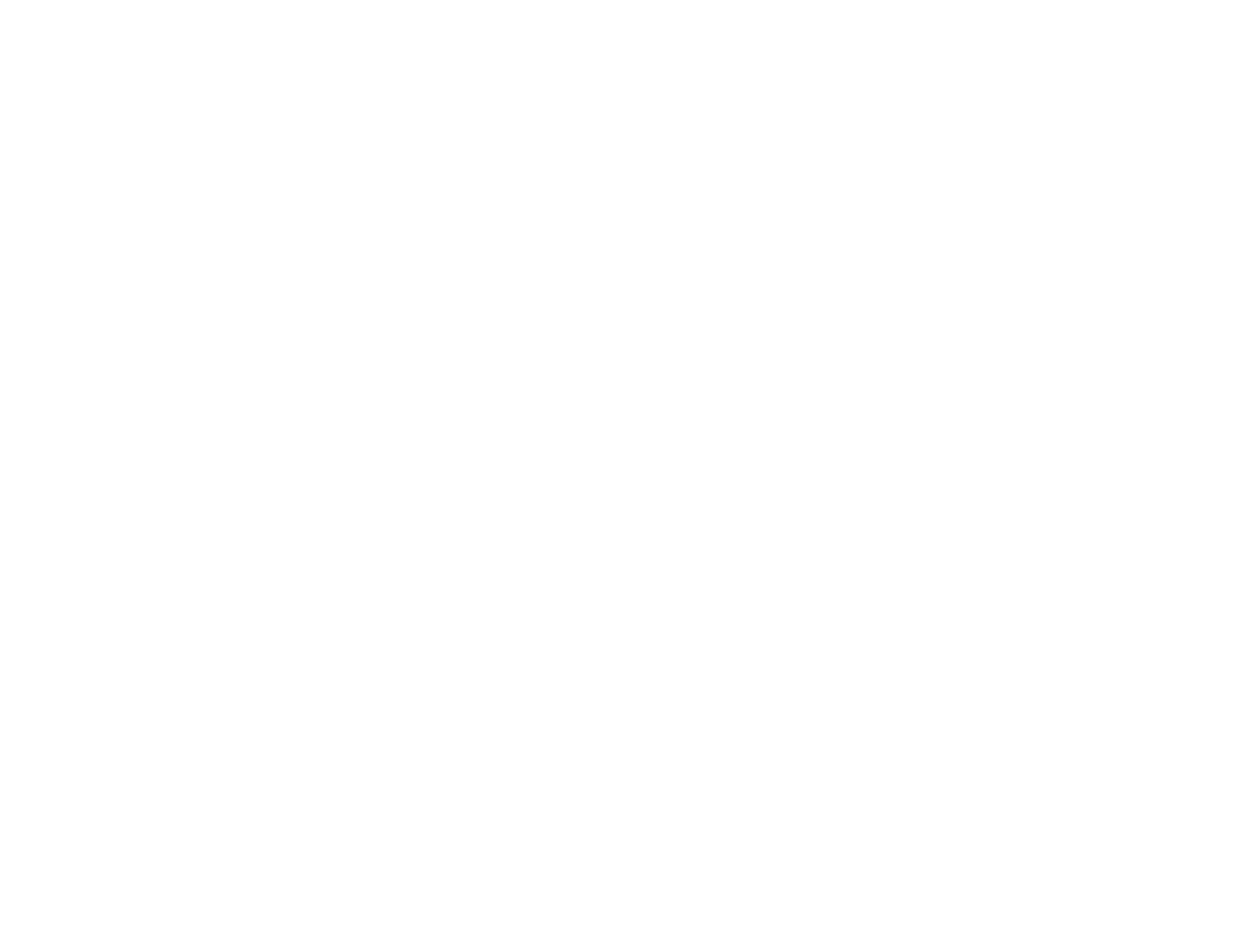VitahFi Security Solutions