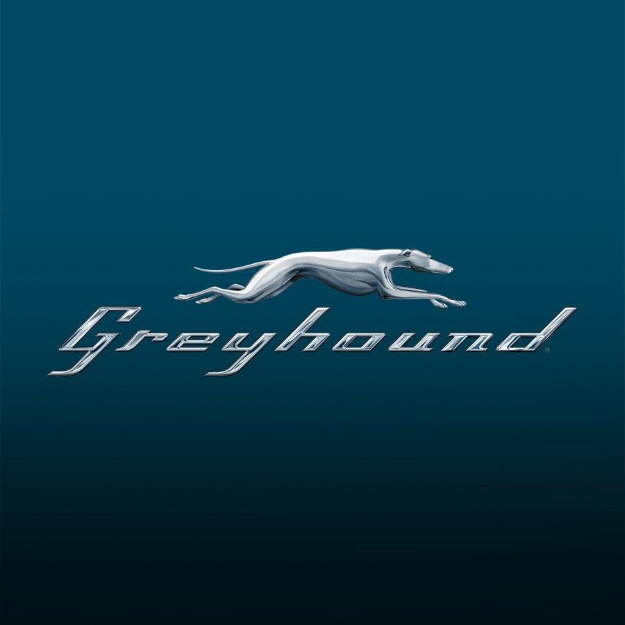 Greyhound