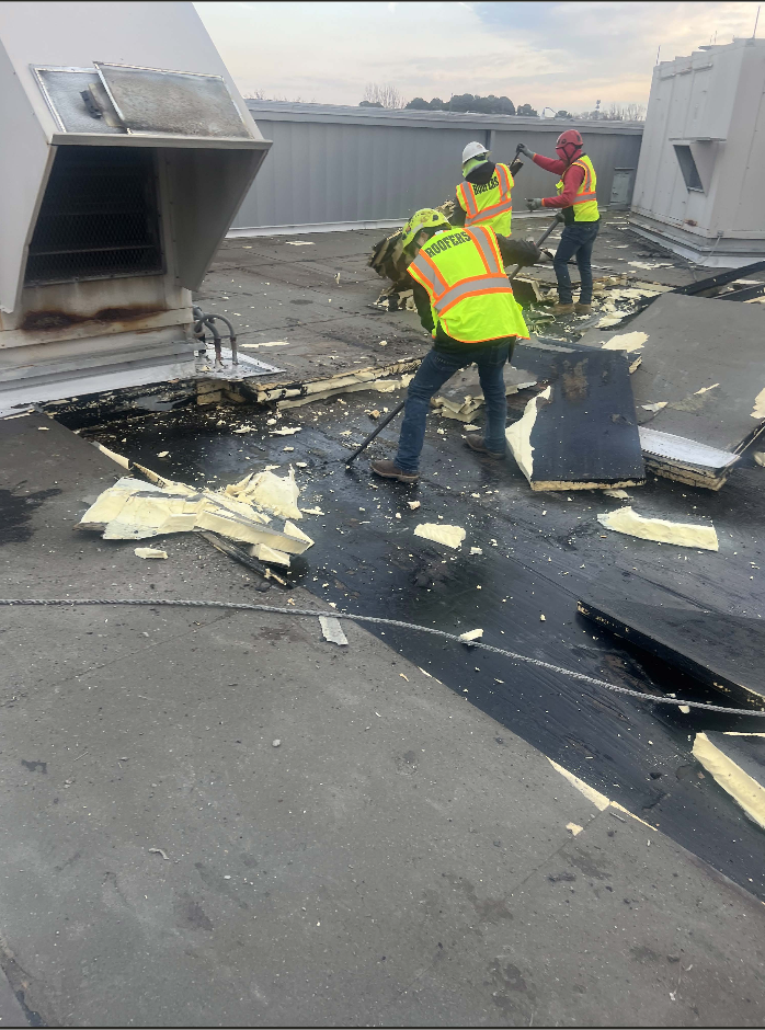 Screenshot 2026-01-17 at 9.08.58 PM.png