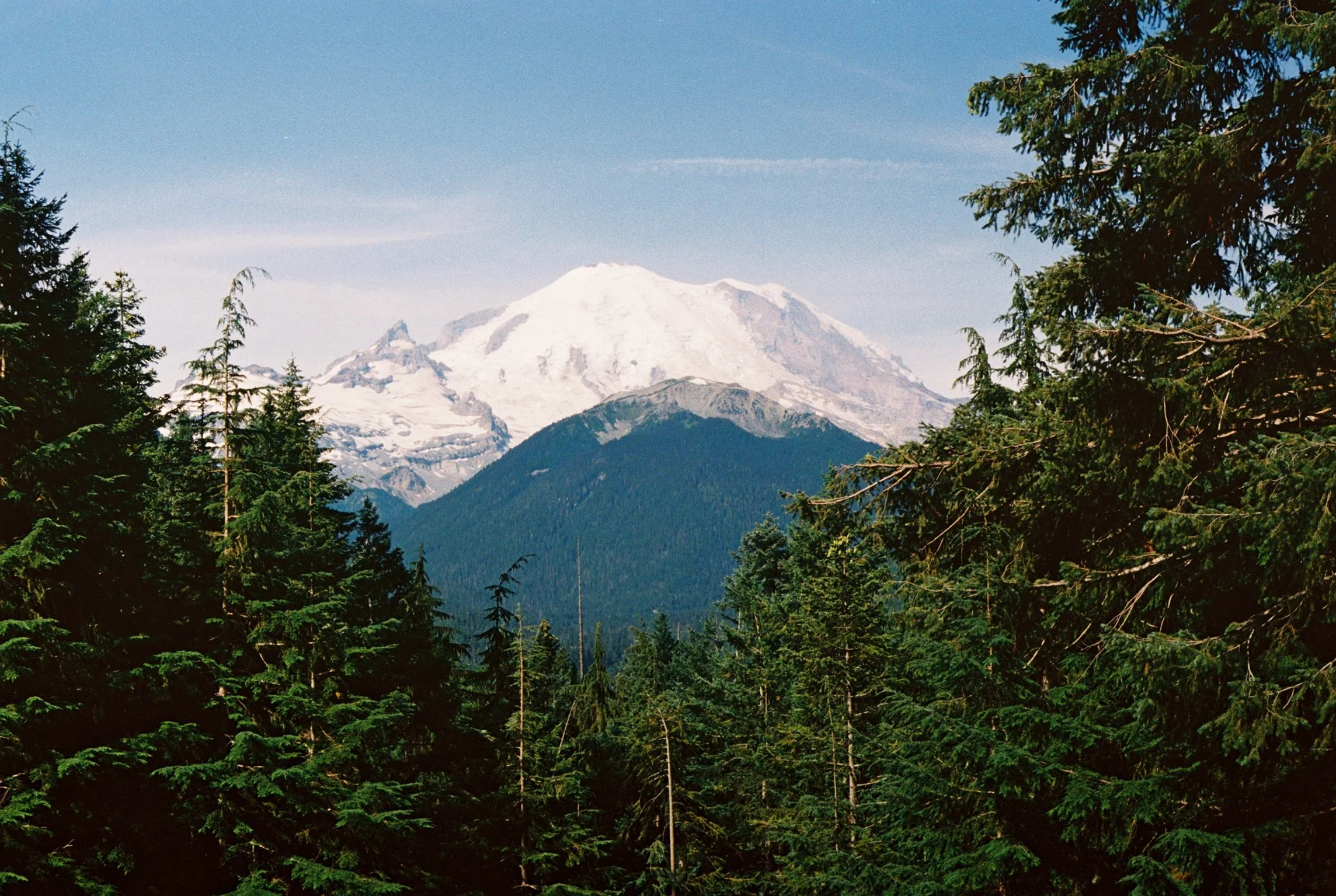A_MT RAINIER.jpg
