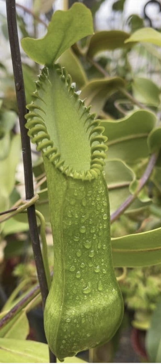 Screenshot 2026-02-06 at 11.02.37 AM.png