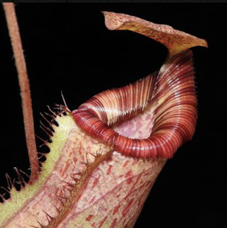 Screenshot 2026-02-06 at 9.08.40 AM.png