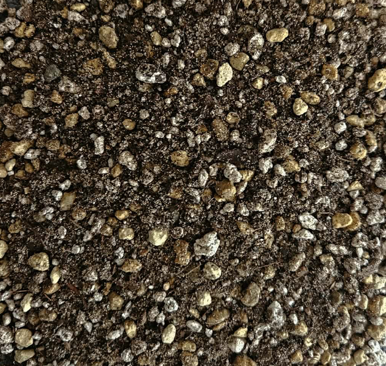 Screenshot 2026-02-07 at 9.56.47 AM.png