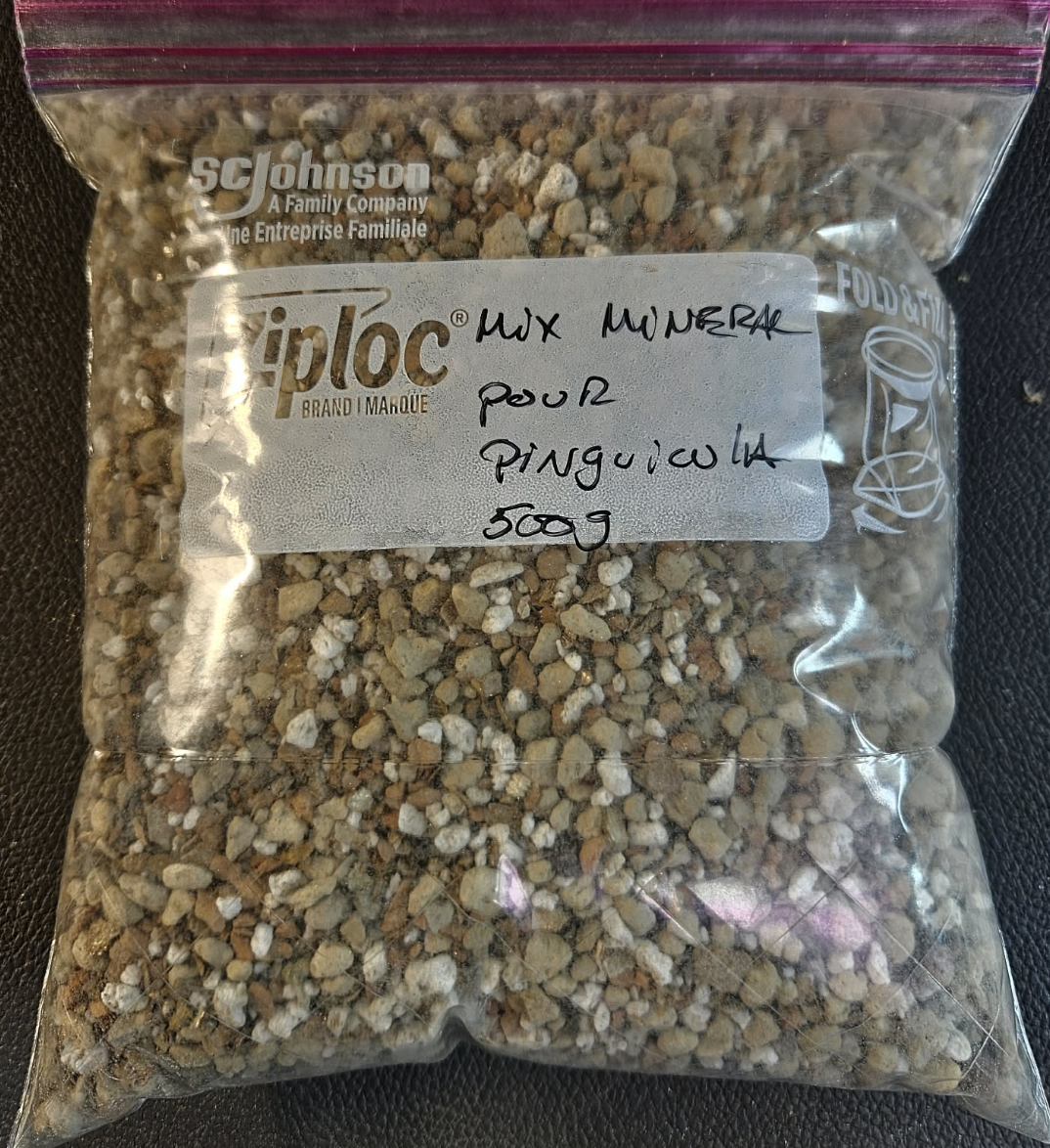 Screenshot 2026-02-07 at 11.21.53 AM.png