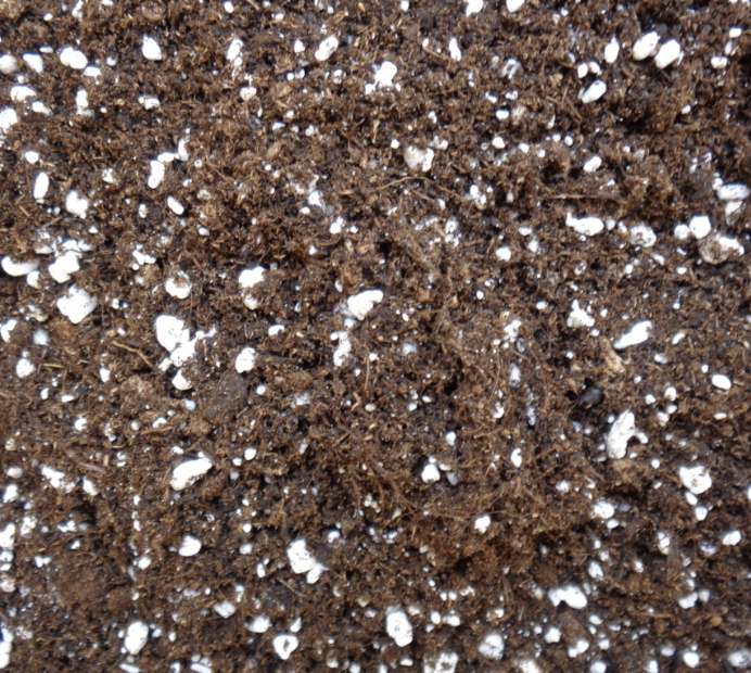 Screenshot 2025-09-15 at 7.45.44 AM.png