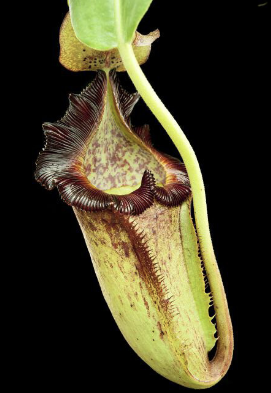 Screenshot 2026-02-06 at 9.43.36 AM.png