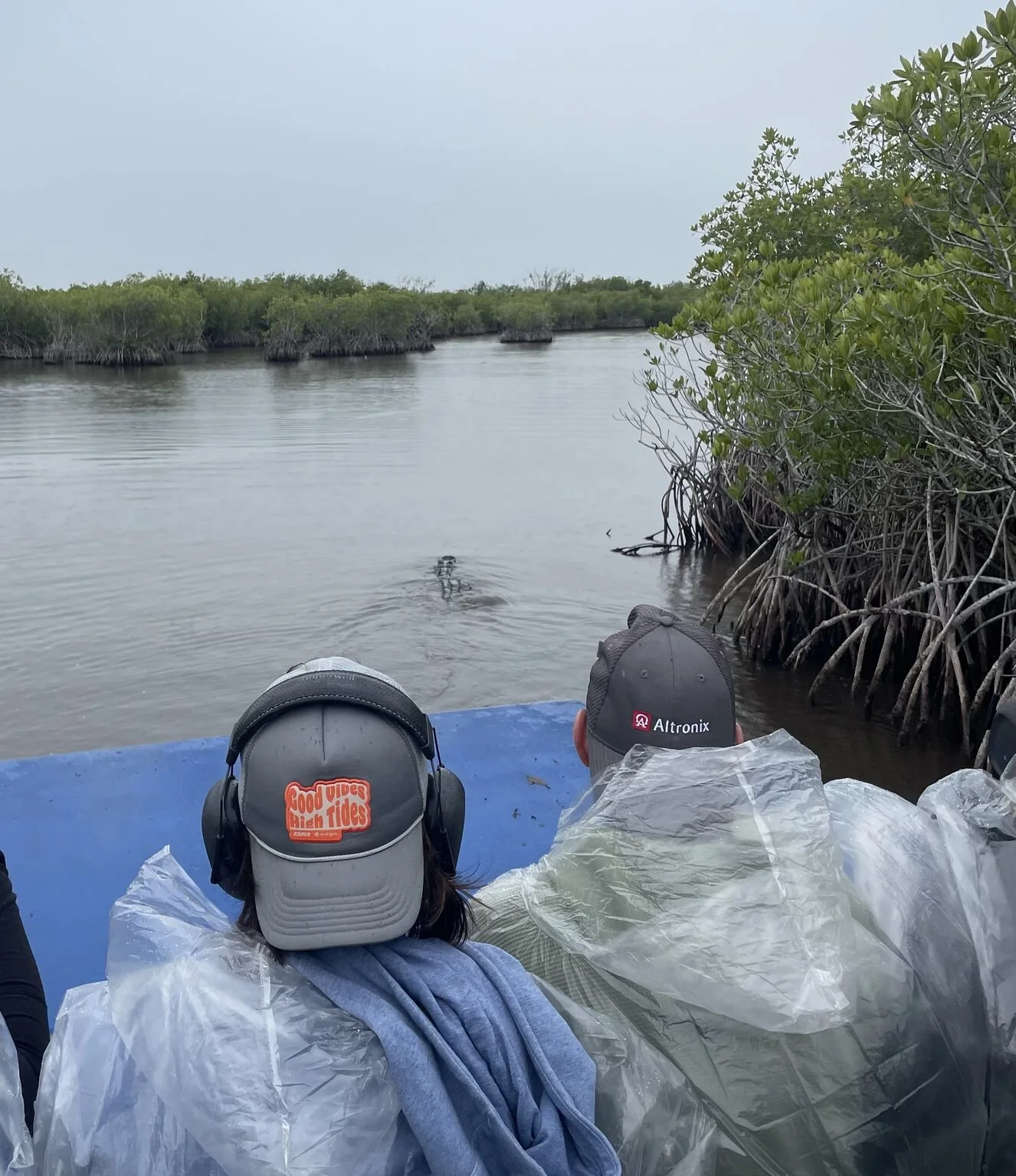 everglades1-1.jpg