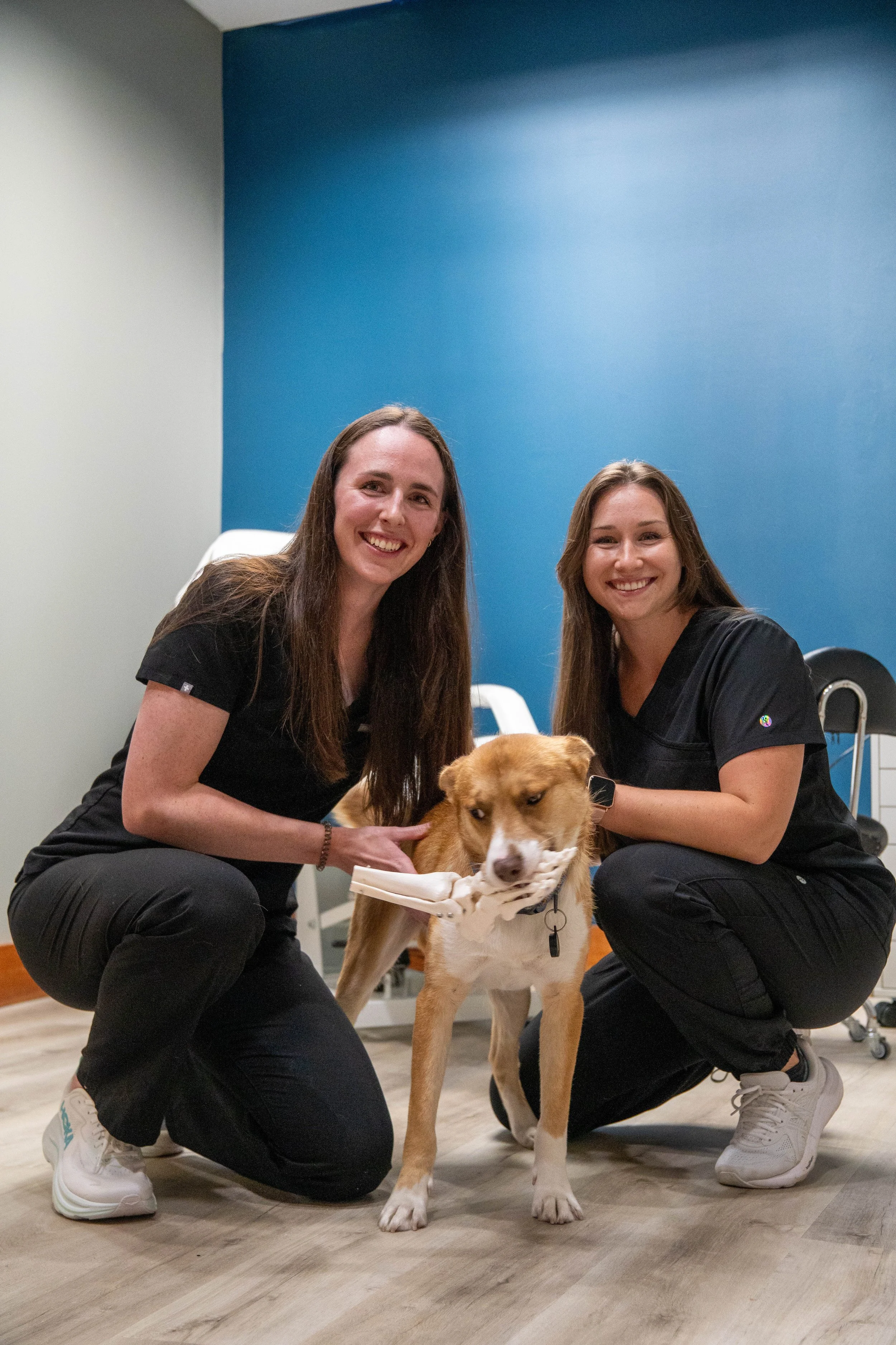 Two women in scrubs crouch on each side of a brown and white dog with a prosthetic leg, smiling at the camera in a veterinary clinic.