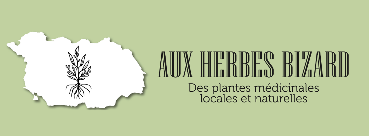 Aux Herbes Bizard