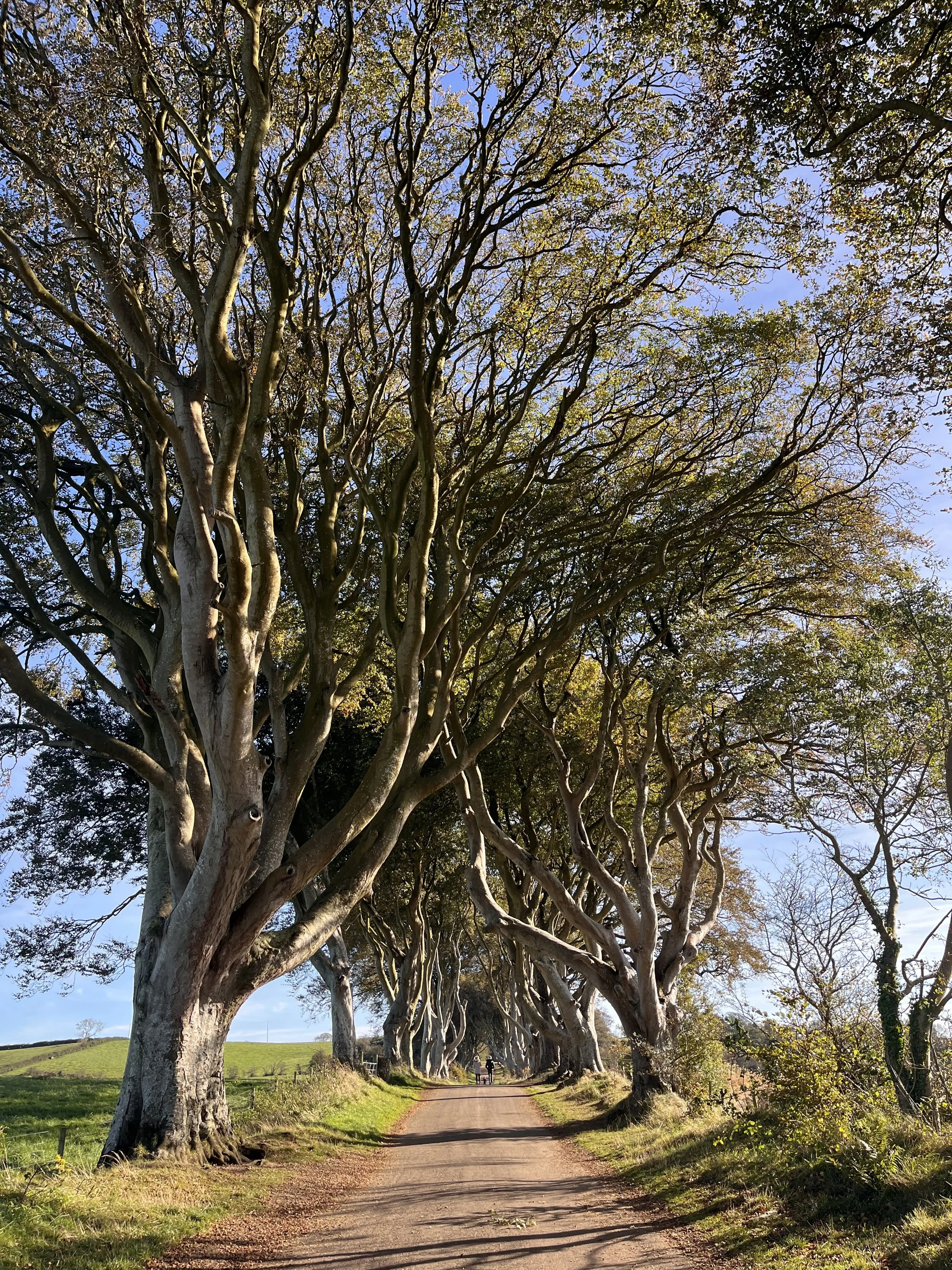 Ireland