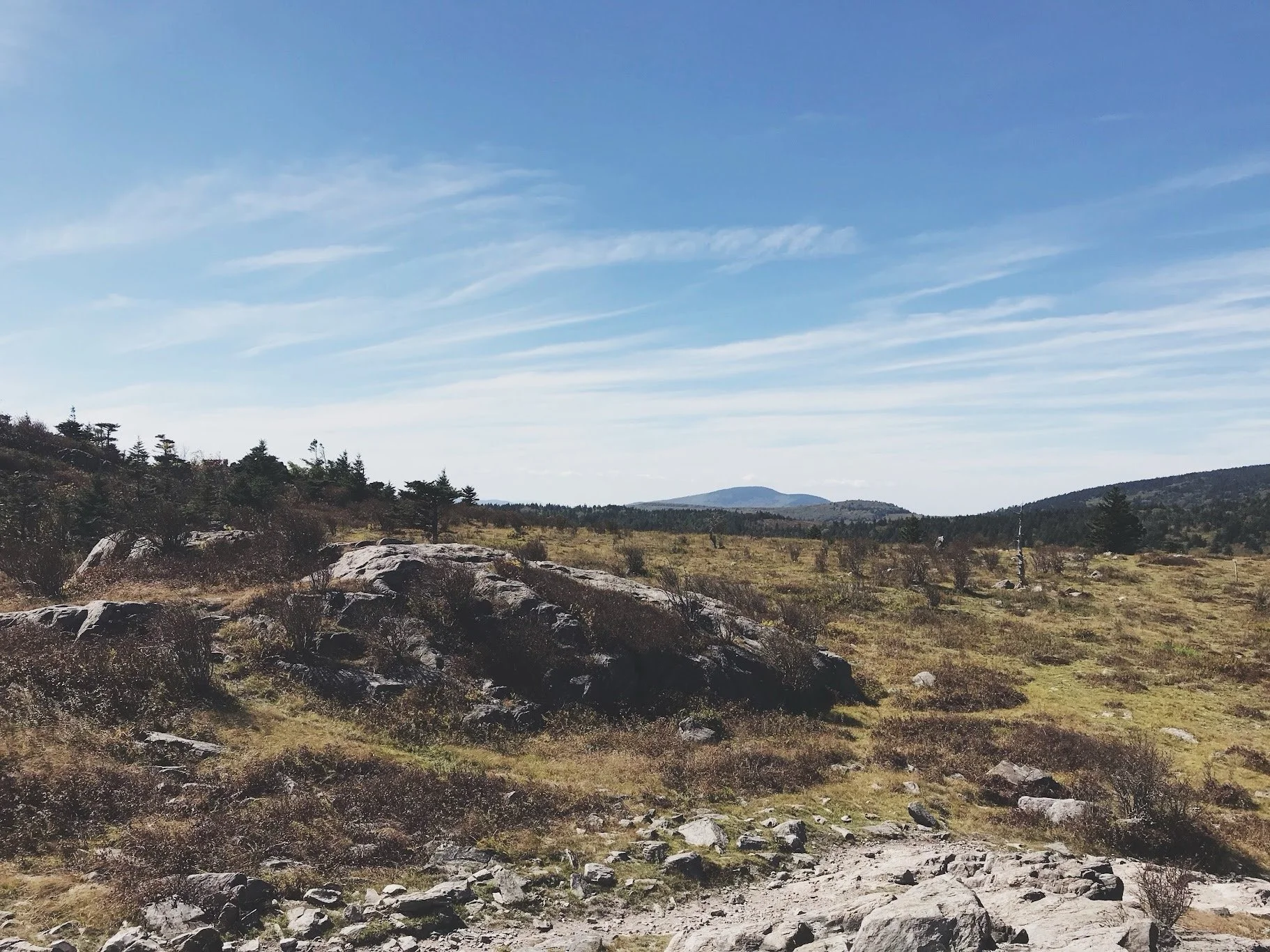 Appalachian Trail (Virginia)