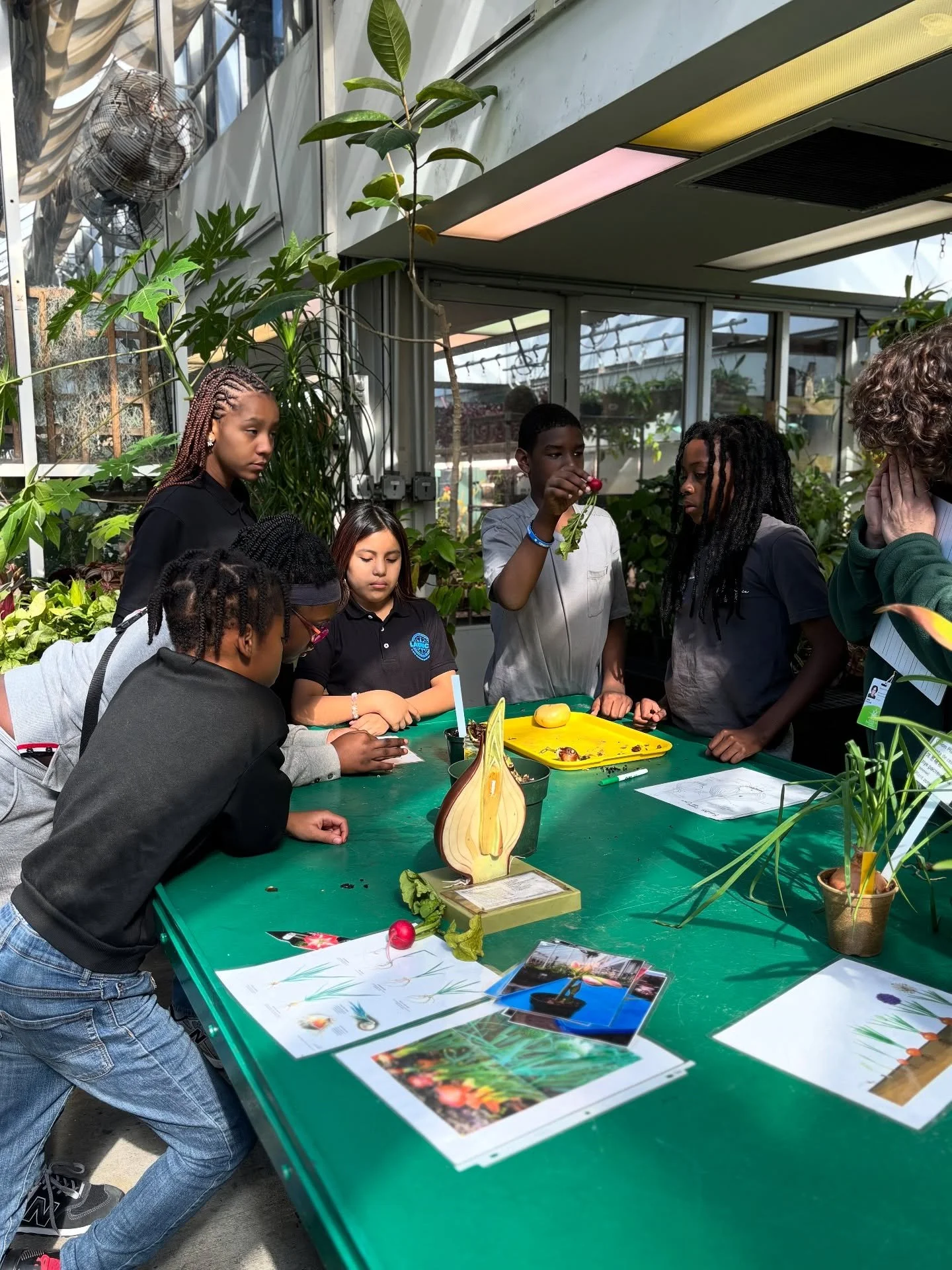 Launch middle has a new partnership with @brooklynbotanic gardens Project Green Reach program! 

Project Green Reach is a program that brings science to life through hands-on, inquiry-based learning. This fall, our 6th and 8th graders kicked off the 