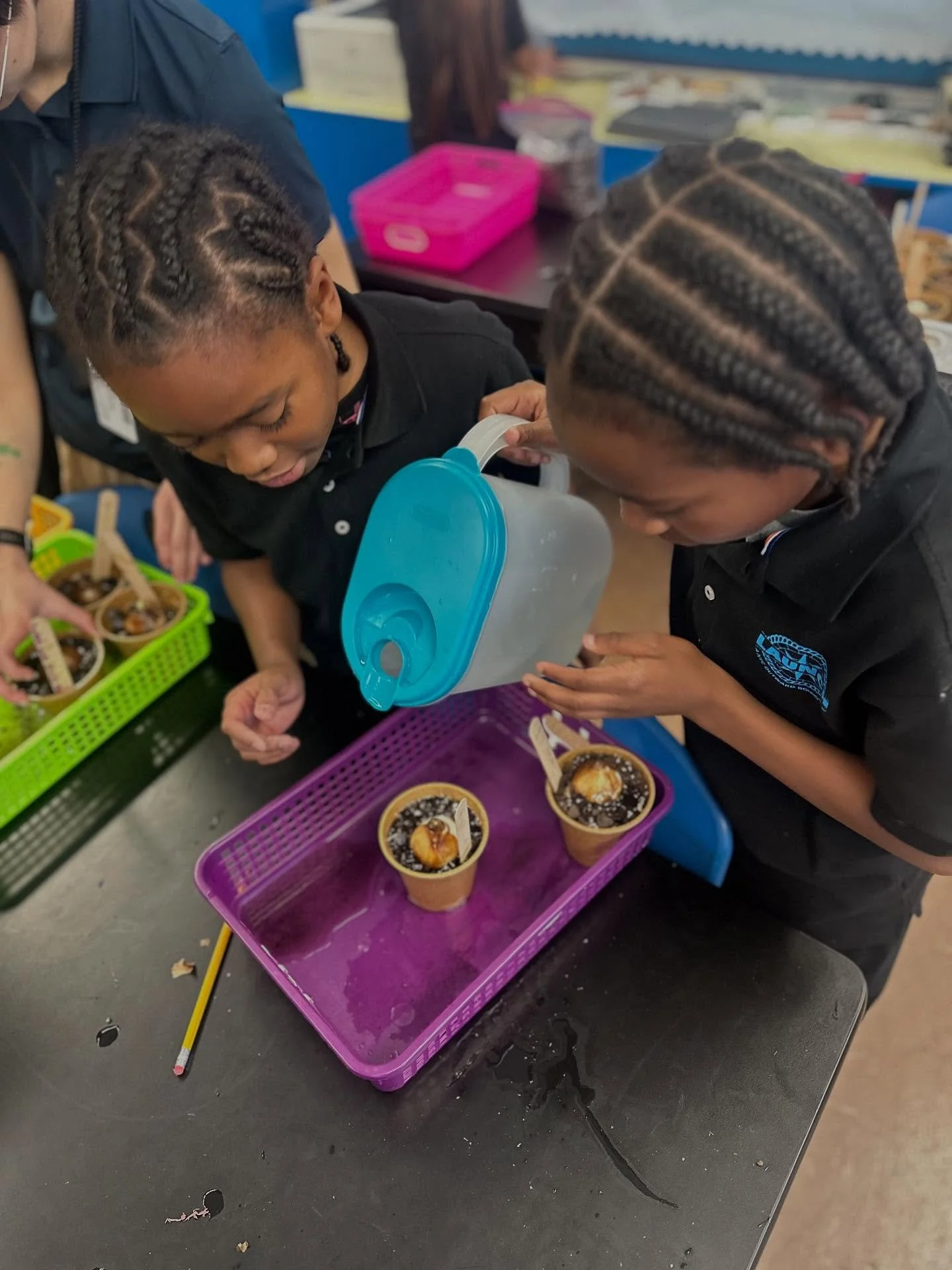 Our partnership with @brooklynbotanic Project Green Reach continues! Today, students acted as botanists to complete a seed dissection and plant their very own paperwhite bulbs that they will eventually be able to take home 🌱🌿
